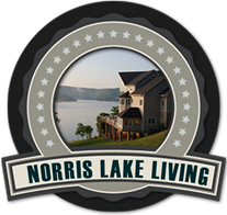 Rainbow Resort Homes for Sale on Norris Lake